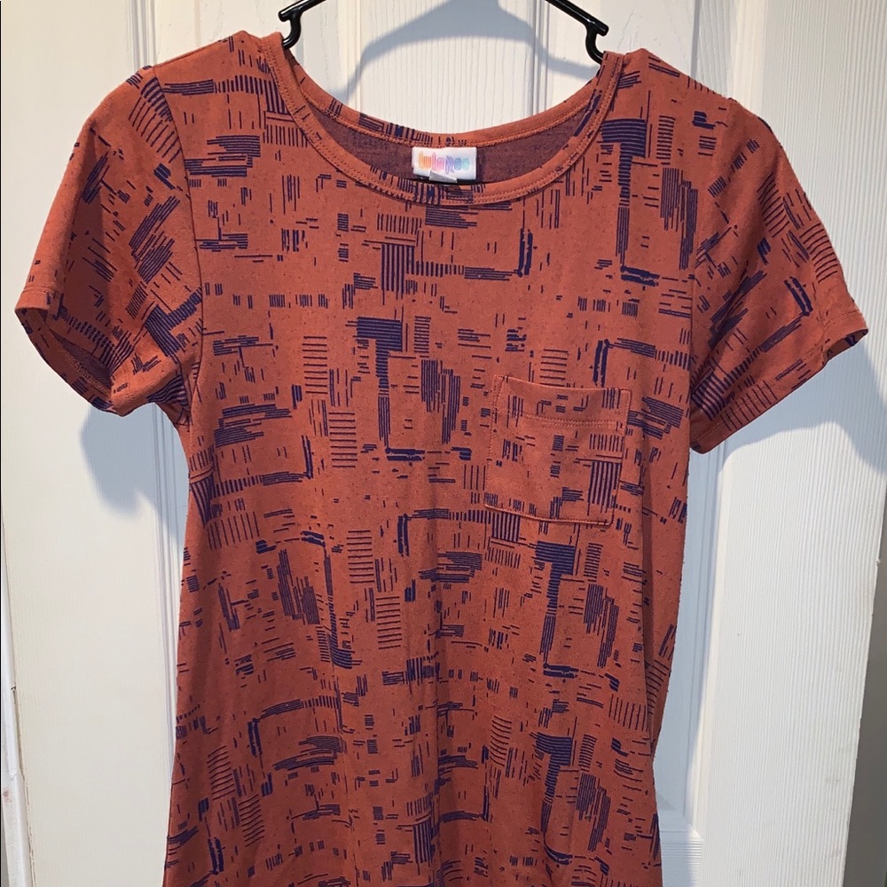 LuLaRoe Carly Dress
